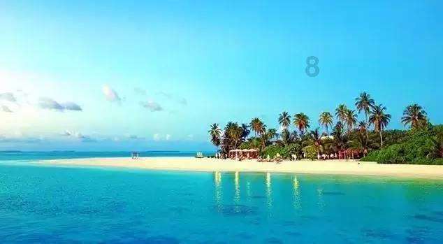 意想不到的旅程